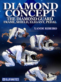 Diamond Concept: The Diamond Guard Frame, Shield, Elegant, Pedal by Xande Ribeiro